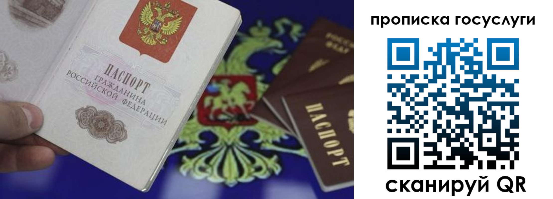 прописка для школы в Хадыженске